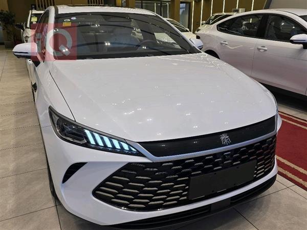 بي واي دي Qin Plus 2025 للبيع في العراق -  بغداد